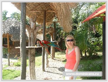 ����������� �������